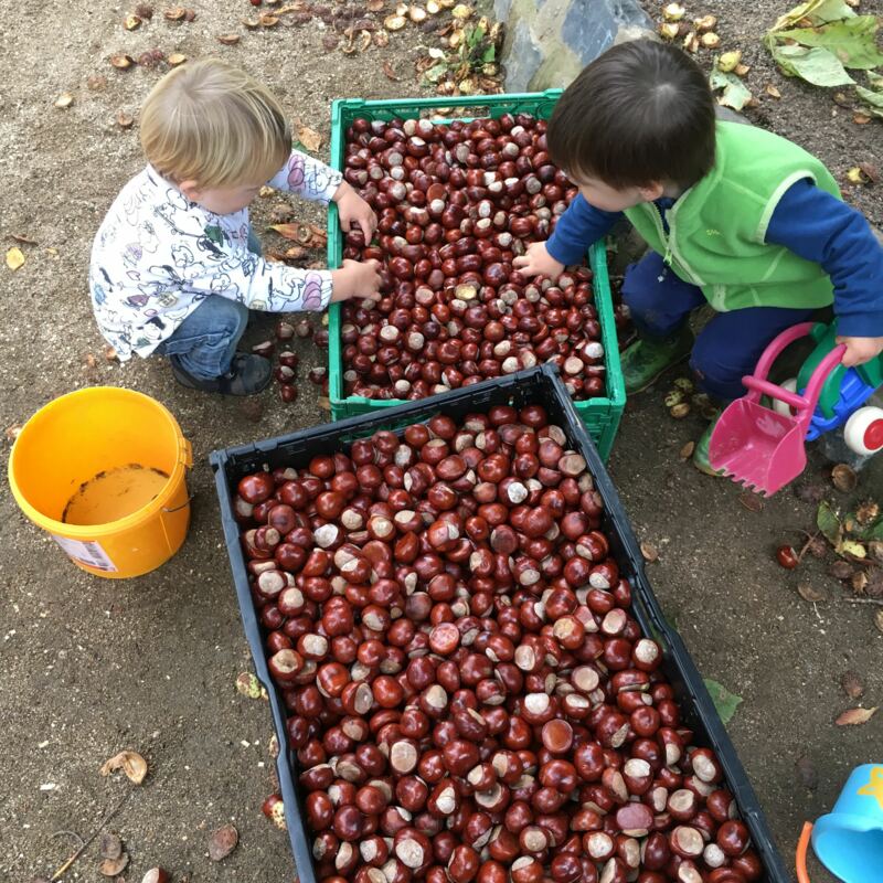 Auch die Kleinen halfen eifrig mit