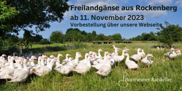 Freilandgänse aus Rockenberg