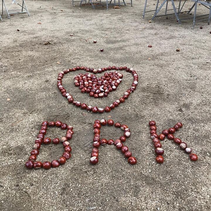 Kastanien im Bornheimer Ratskeller