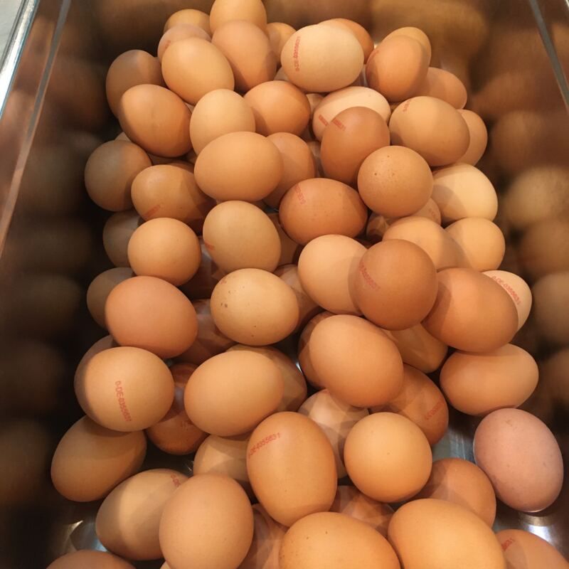 Bio-Eier