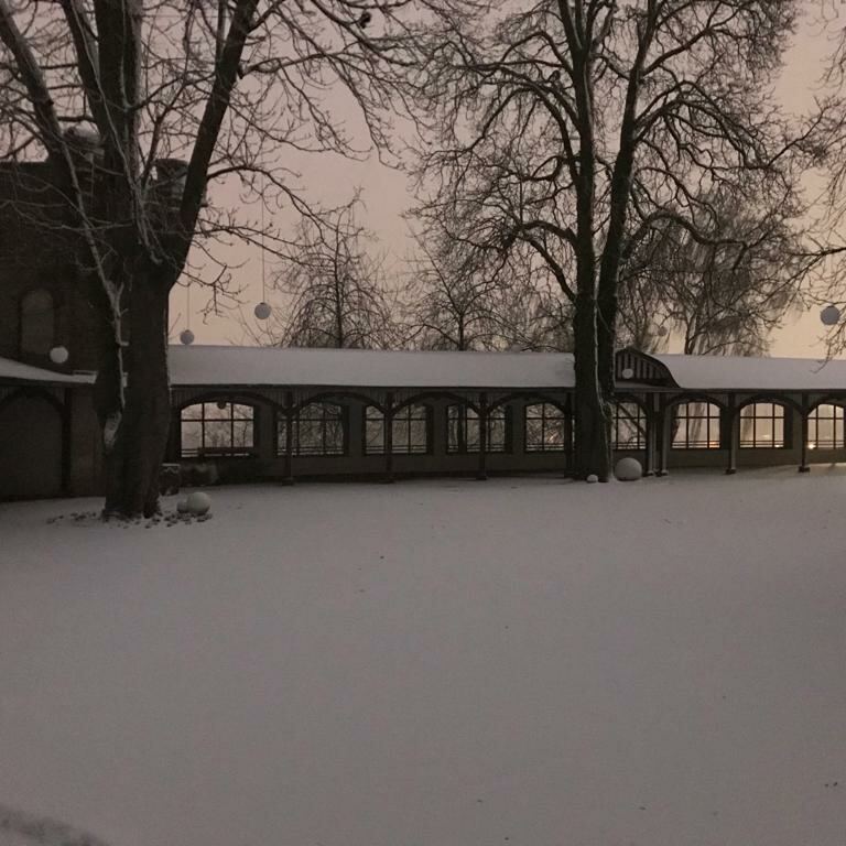 Schnee im Garten des Bornheimer Ratskellers ©AdilKamari